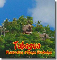 Hotel-TUBAGUA PLANTATION VILLAGE'
